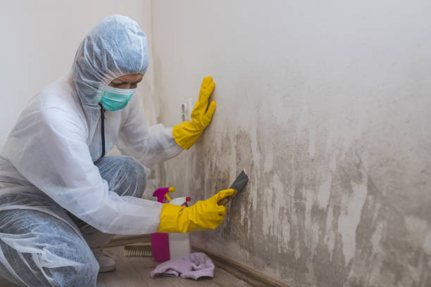 Best Residential Mold Removal  in Mart, TX