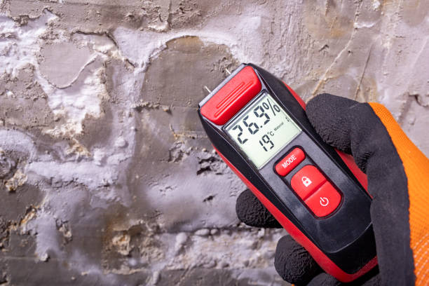 Best Certified Mold Removal  in Mart, TX
