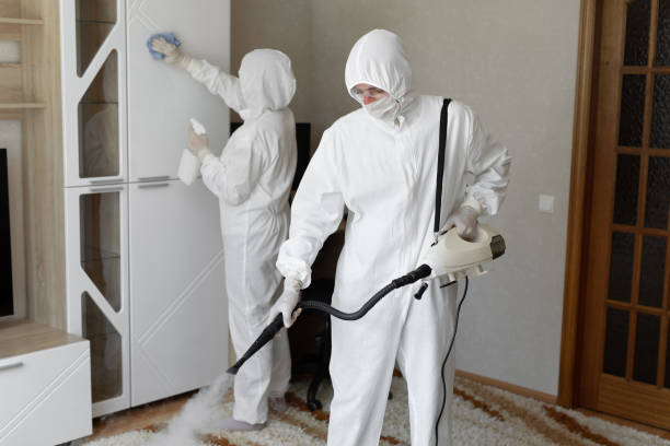 Mold Testing and Removal in Mart, TX