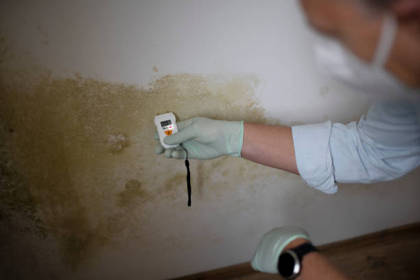 Mart, TX Mold Removal Company