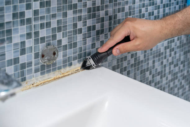 Best Black Mold Removal  in Mart, TX
