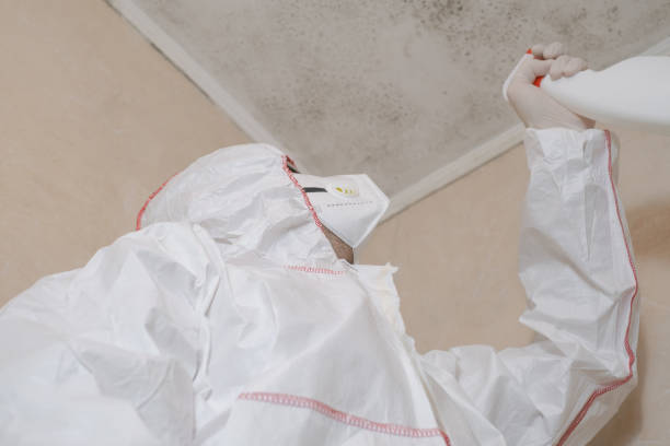 Best Best Mold Removal Companies  in Mart, TX