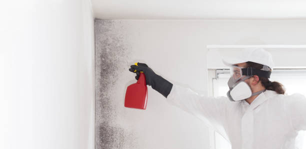 Best Mold Testing  in Mart, TX