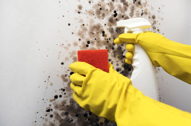 Best Water Damage Restoration  in Mart, TX