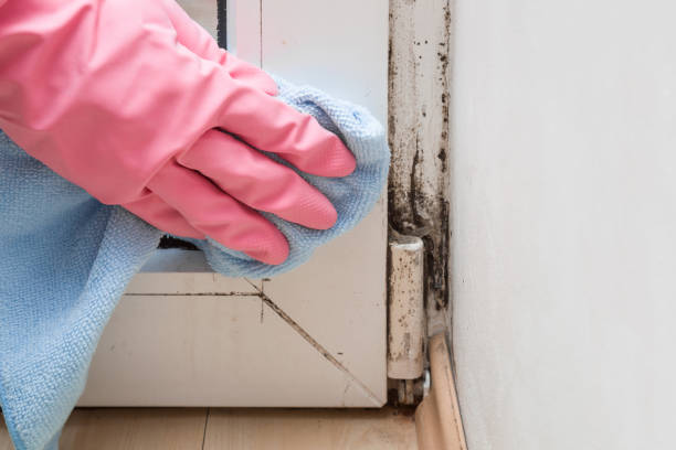 Best Home Mold Removal  in Mart, TX